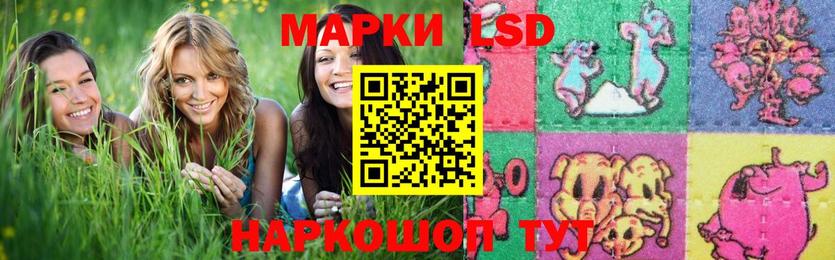 Марки ЛСД  Лсд 25 экстази кислота  Вход с VPN  Заводоуковск 