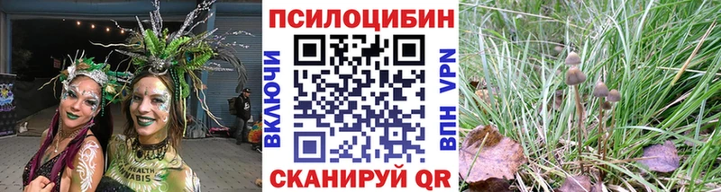 Псилоцибиновые грибы прущие грибы Заводоуковск