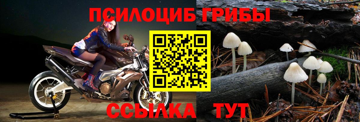 Галлюциногенные грибы мухоморы Заводоуковск
