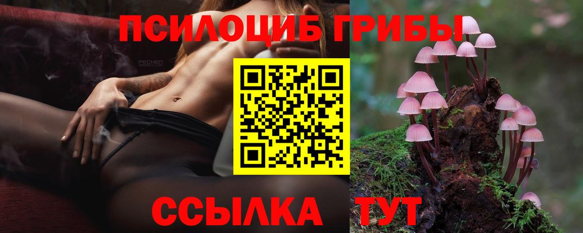 Галлюциногенные грибы ЛСД  Галлюциногенные грибы мухоморы  Вход с VPN  Заводоуковск 