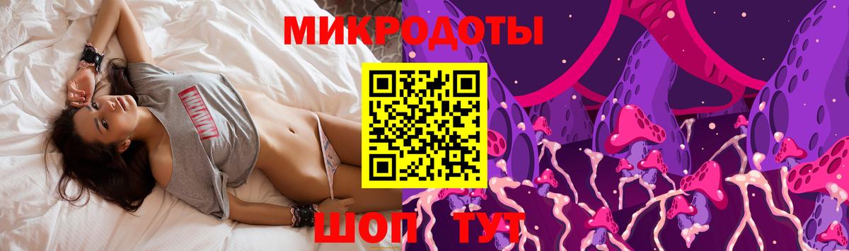 закладка  Псилоцибиновые грибы Psilocybe  Вход с VPN  Заводоуковск 