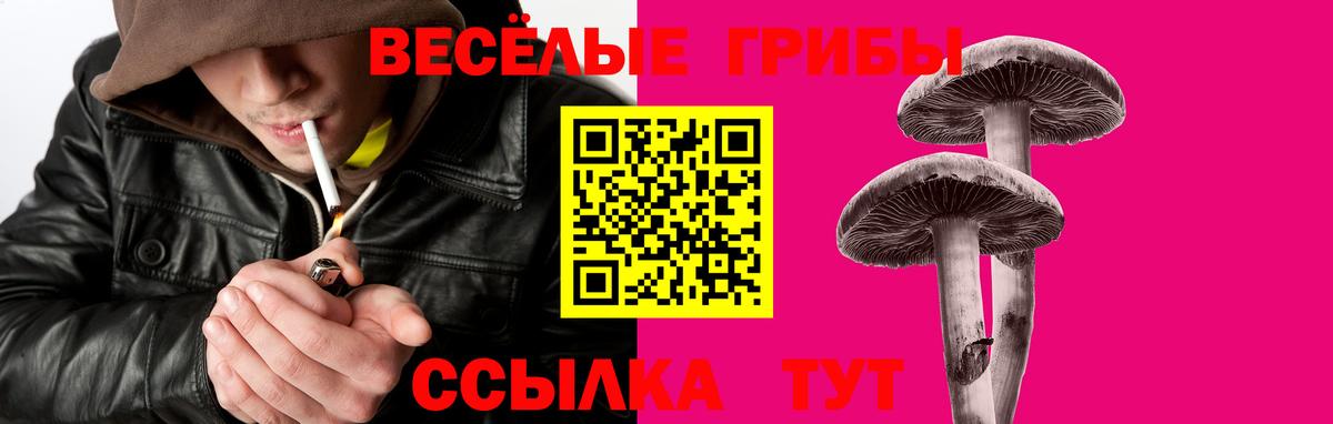 Псилоцибиновые грибы прущие грибы Заводоуковск